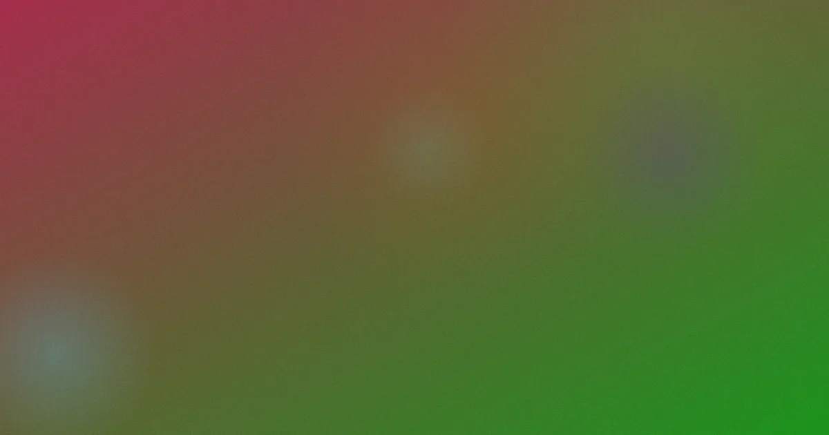 黑丝白虎攻略：横向对比